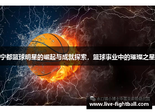 宁都篮球明星的崛起与成就探索，篮球事业中的璀璨之星